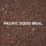 massive-baits-pacific-squid-meal-1kg.jpg