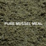 massive-baits-pure-mussel-meal-1kg-1.jpg