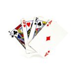 801-0004-100-Raptor-Playing-Cards-V-01. elcarpodromo